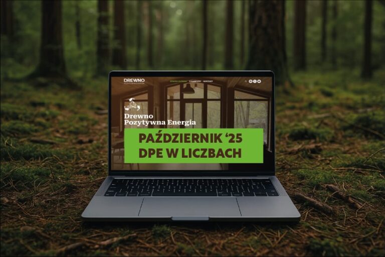 Raport z działań DPE – Październik 2025