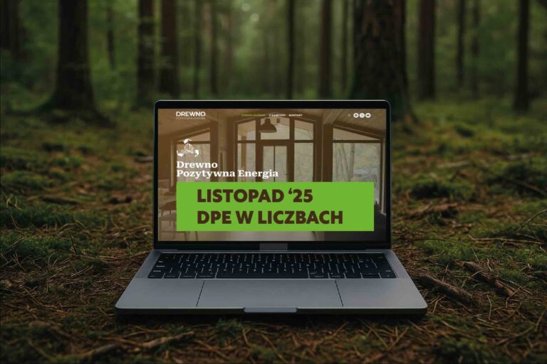 Raport z działań DPE – Listopad 2025