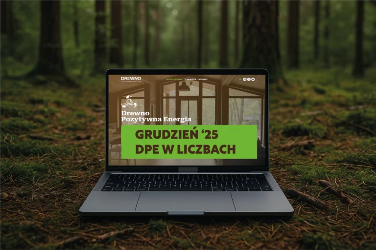 Raport z działań DPE – grudzień 2025